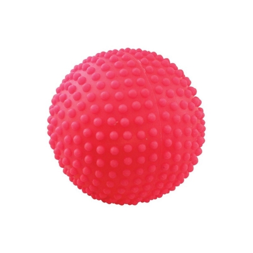 Мяч Игольчатый №2 - 6,5см (Зооник)