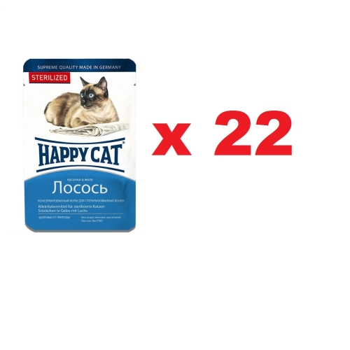 Хэппи Кэт пауч 100гр - Желе - Лосось - Стерилизед (Happy Cat)  1кор = 22шт