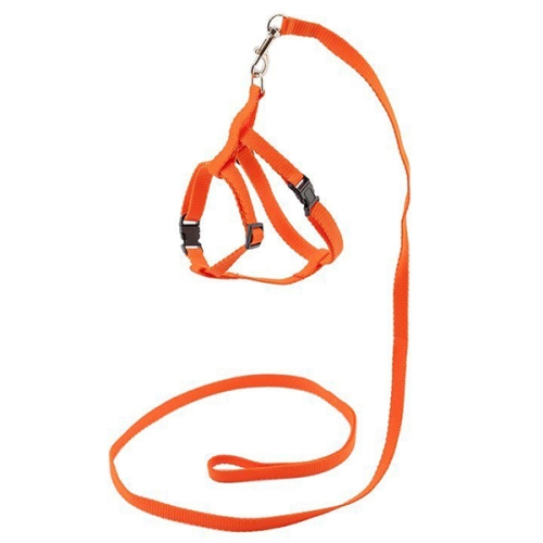 Комплект ECO "Sport Classic" Оранжевый - поводок 1см х 120см+шлейка, обхват груди 30-45см, синтетика