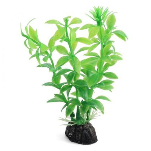 Гемиантус зелёный 10см, растение пластиковое