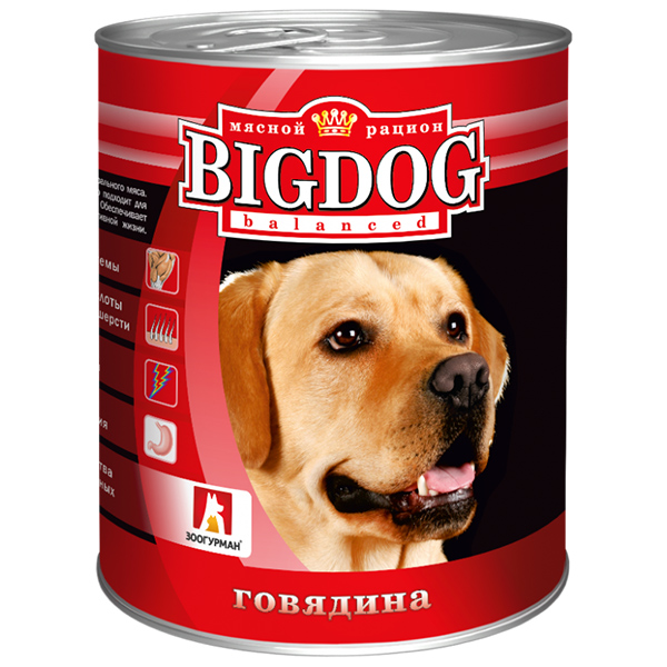 Биг Дог 850гр - Говядина (Big Dog), Зоогурман + Подарок